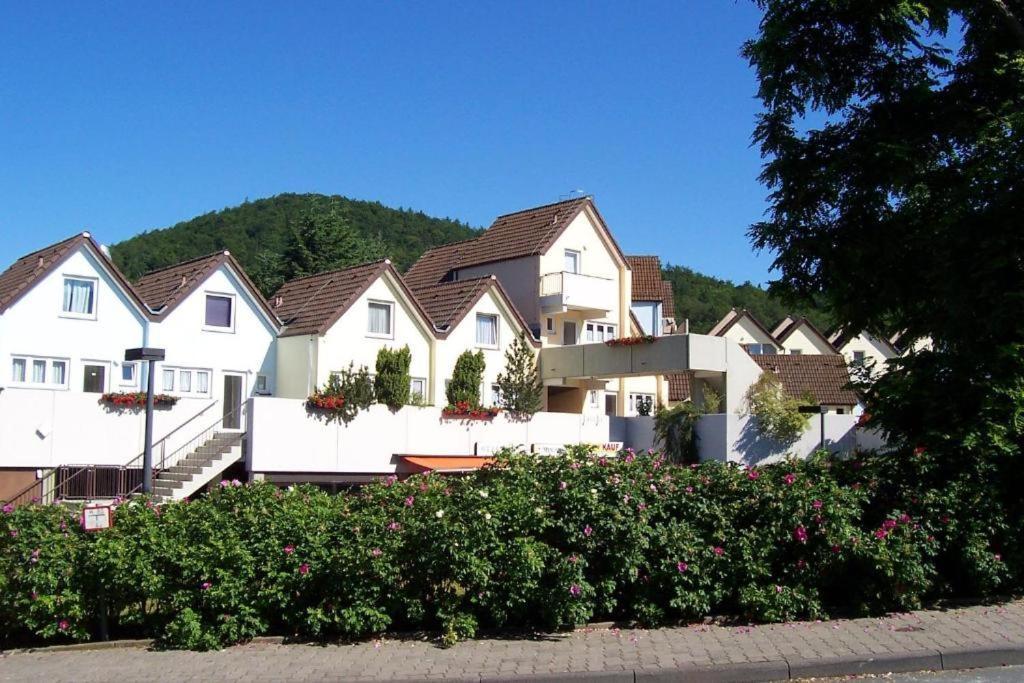 Gemutliche 93M2Fewo Mit 2 Schlafzimmern Und Seitlichem Seeblick Vom Balkon Scheid  Ngoại thất bức ảnh